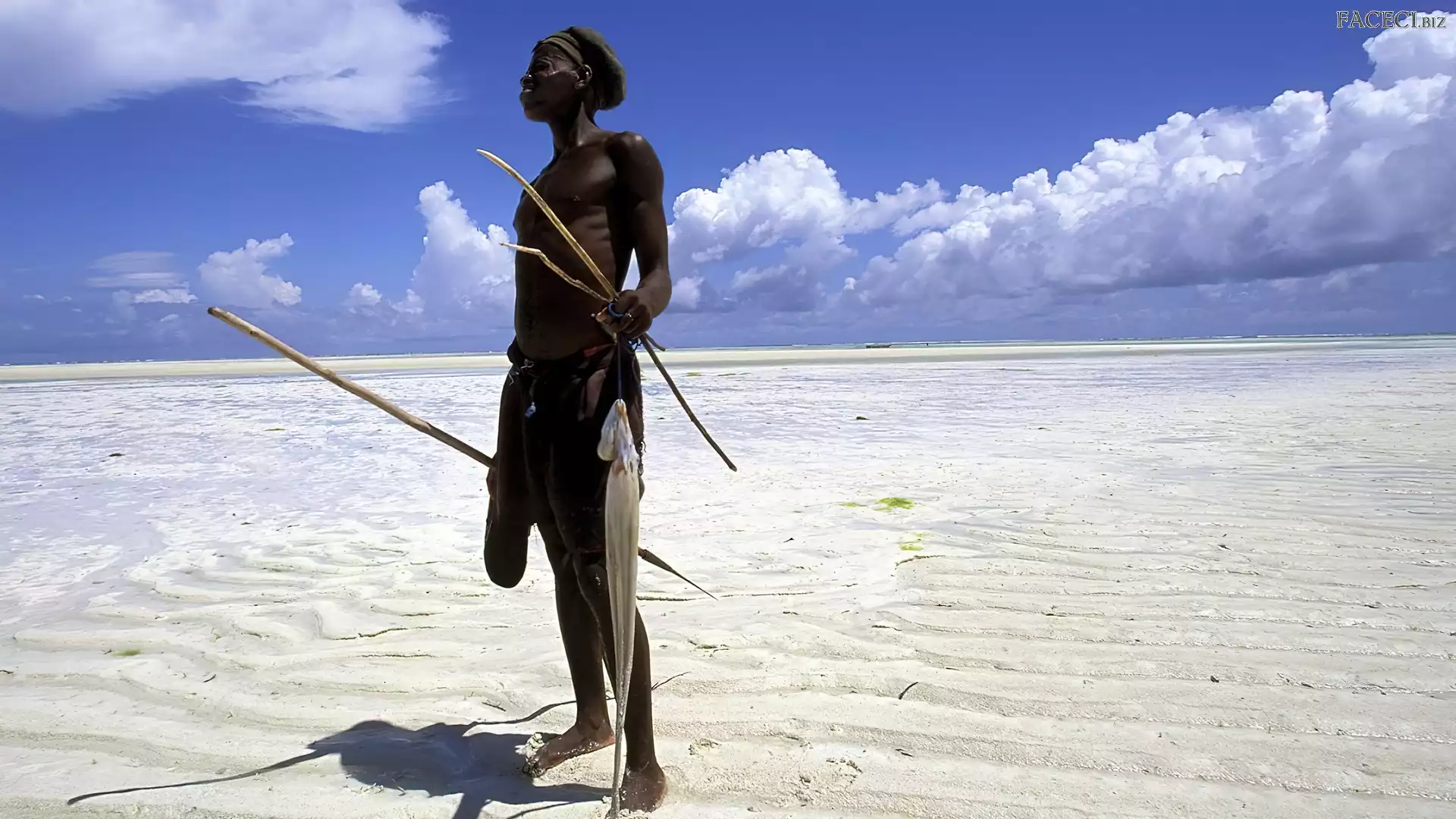 Plaża, Wędkarz, Ryba